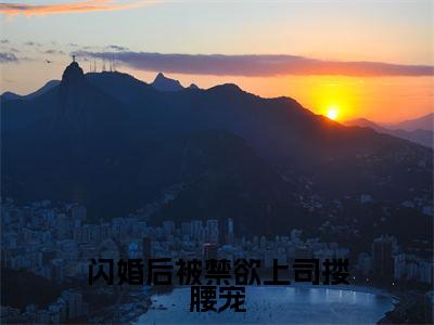 闪婚后被禁欲上司搂腰宠全文免费阅读无弹窗大结局_苏晓曼季圣司无弹窗全文阅读