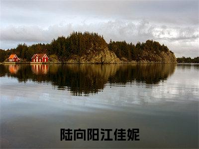 江佳妮陆向阳(陆向阳江佳妮)全文免费阅读_陆向阳江佳妮最新章节小说免费阅读_笔趣阁江佳妮陆向阳