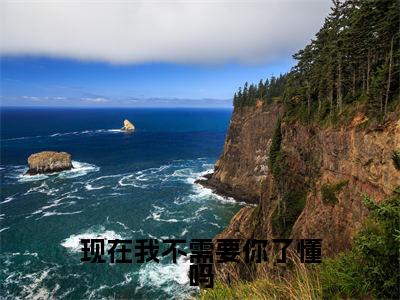 现在我不需要你了懂吗小说精彩章节今日阅读更新-(宋星瑶季云璟小说)免费阅读小说全文