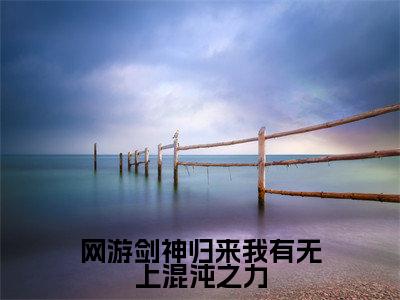 网游剑神归来我有无上混沌之力是什么小说_主角是（叶晨）的小说（网游剑神归来我有无上混沌之力）最新章节无弹窗阅读
