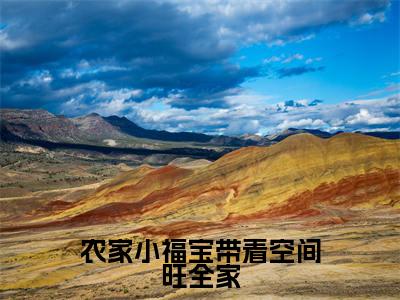 农家小福宝带着空间旺全家(王暖暖)全文免费阅读无弹窗大结局_(农家小福宝带着空间旺全家)最新章节列表