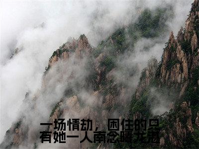 一场情劫,困住的只有她一人南念曦龙湛(南念曦龙湛)是哪部小说的主角-一场情劫,困住的只有她一人南念曦龙湛(南念曦龙湛)全文无弹窗完整版阅读