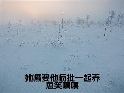 慕意容肆(她癫婆他疯批一起养崽笑嘻嘻)小说免费阅读_慕意容肆精选小说全文阅读(她癫婆他疯批一起养崽笑嘻嘻)