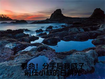 小说要命!分手后我成了前任小叔的白月光全文免费阅读无弹窗大结局_(楚瑜孟景宸)全文在线阅读