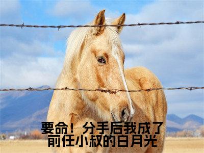 要命!分手后我成了前任小叔的白月光小说(楚瑜孟景宸)小说全文免费楚瑜孟景宸读无弹窗大结局笔趣阁(要命!分手后我成了前任小叔的白月光)