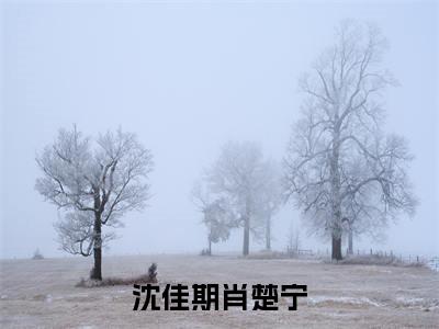 沈佳期肖楚宁（肖楚宁沈佳期）小说全文免费阅读无弹窗大结局_（肖楚宁沈佳期）最新章节列表（沈佳期肖楚宁）