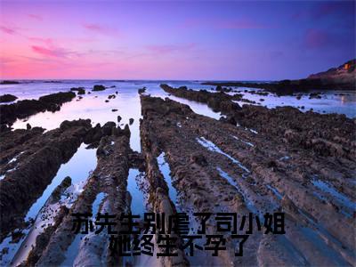 苏先生别虐了司小姐她终生不孕了(苏怀宇司琴)全文完整版免费阅读_苏怀宇司琴(苏先生别虐了司小姐她终生不孕了全文免费阅读)最新章节列表