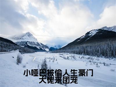棠莞免费阅读无弹窗大结局,小哑巴被偷人生豪门大佬来团宠最新章节