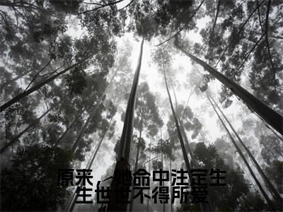 原来,她命中注定生生世世不得所爱(苏心璃长渊)全文免费阅读无弹窗大结局_(苏心璃长渊)小说免费阅读无弹窗最新章节列表