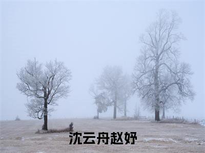 赵妤沈云舟(沈云舟赵妤)免费阅读无弹窗大结局_(沈云舟赵妤)赵妤沈云舟最新章节列表_笔趣阁