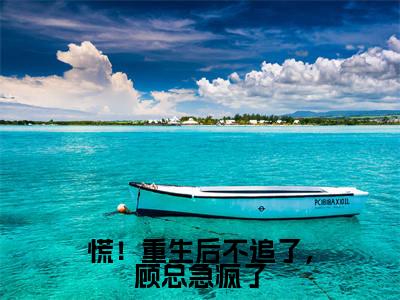 苏婧晚免费完结小说-慌!重生后不追了,顾总急疯了(苏婧晚)在线阅读全文(苏婧晚)