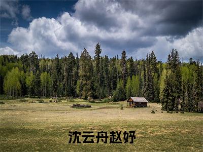 沈云舟赵妤精彩章节免费阅读_(赵妤沈云舟)沈云舟赵妤抖音热推小说最新章节阅读