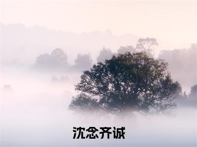 沈念齐诚(沈念齐诚小说)全文免费阅读无弹窗大结局_(沈念齐诚小说)最新章节列表