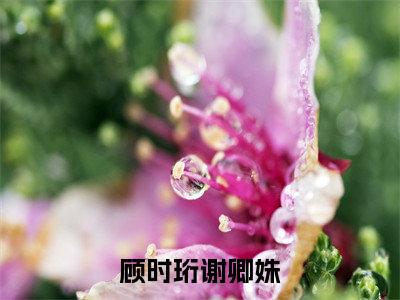 顾时珩谢卿姝小说(顾时珩谢卿姝)全文免费阅读_(顾时珩谢卿姝)顾时珩谢卿姝小说最新章节列表