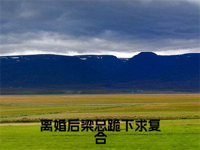 (热推新书)《离婚后梁总跪下求复合》楚瑶梁慕凡无弹窗阅读_离婚后梁总跪下求复合最新章节列表_笔趣阁