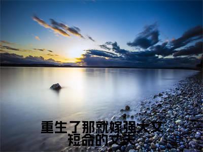 重生了那就嫁强大又短命的丈夫（陆珩沈岁安）全文免费阅读无弹窗大结局_（重生了那就嫁强大又短命的丈夫全文免费阅读无弹窗）最新章节列表