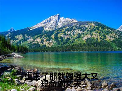 重生了那就嫁强大又短命的丈夫全文免费阅读无弹窗大结局_(陆珩沈岁安)重生了那就嫁强大又短命的丈夫免费阅读无弹窗最新章节列表_笔趣阁