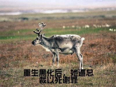 重生黑化后,她逼总裁以死谢罪免费小说-重生黑化后,她逼总裁以死谢罪完结版在线阅读