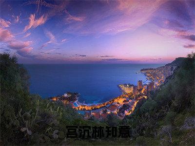 宫沉林知意(林知意宫沉)全文免费阅读无弹窗大结局_宫沉林知意最新章节列表_笔趣阁(林知意宫沉)
