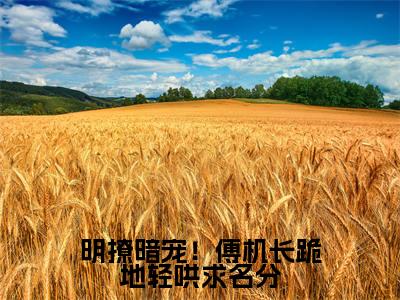 许知俏傅时墨全文免费阅读大结局明撩暗宠!傅机长跪地轻哄求名分最新章节列表(全文)+(番外)
