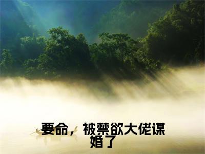 陆景卿宋夏(要命,被禁欲大佬谋婚了)是什么小说_主角是(陆景卿宋夏)的小说(要命,被禁欲大佬谋婚了)最新章节无弹窗阅读