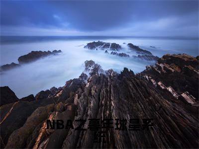 苏天的小说免费阅读(NBA之暮年球星系统的小说免费阅读)全文完整版免费阅读