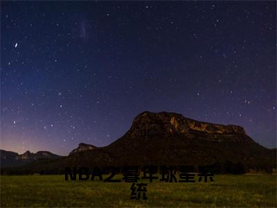 苏天小说(NBA之暮年球星系统)无弹窗大结局-NBA之暮年球星系统(苏天)完整版免费阅读