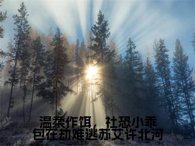 苏艾许北河全文免费(温柔作饵,社恐小乖包在劫难逃苏艾许北河)全集小说完整版大结局-苏艾许北河全文阅读无弹窗