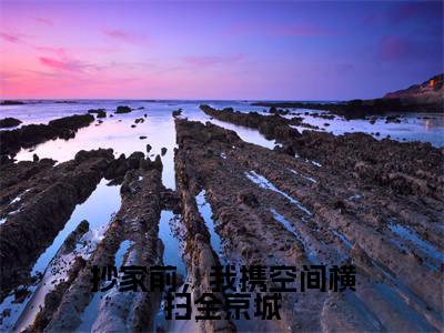 抄家前,我携空间横扫全京城抖音新书热荐宋明鸢陆裴风-最新小说宋明鸢陆裴风全文阅读
