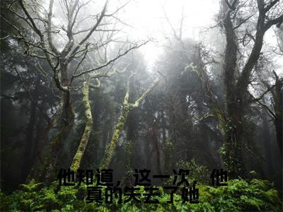 他知道,这一次,他真的失去了她(苏锦绣李承泽)小说全文免费阅读无弹窗_(苏锦绣李承泽)他知道,这一次,他真的失去了她小说全文免费阅读最新章节列表笔趣阁