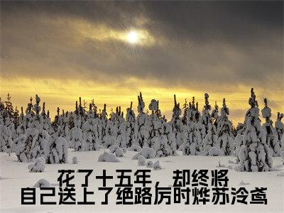苏泠鸢厉时烨(花了十五年,却终将自己送上了绝路厉时烨苏泠鸢)免费小说-花了十五年,却终将自己送上了绝路厉时烨苏泠鸢(苏泠鸢厉时烨)最新章节完整版阅读