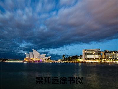 徐书微梁知远免费(梁知远徐书微)全文免费阅读无弹窗大结局_梁知远徐书微免费最新章节列表_笔趣阁