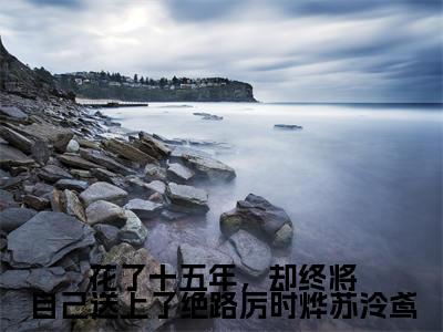 花了十五年,却终将自己送上了绝路厉时烨苏泠鸢小说全文免费阅读-苏泠鸢厉时烨小说最新章节列表