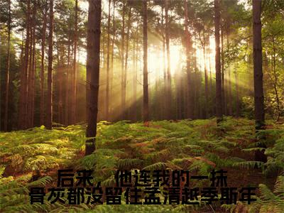 季斯年孟清越小说完整版阅读-后来,他连我的一抹骨灰都没留住孟清越季斯年小说全文无删减版