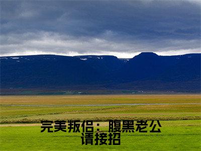 完美叛侣:腹黑老公请接招(施绍钧靳歆)小说免费阅读-完美叛侣:腹黑老公请接招(施绍钧靳歆)已完结全集大结局小说