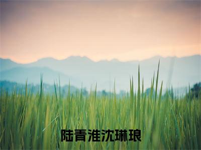 陆青淮沈琳琅高赞小说(沈琳琅陆青淮)完结阅读_陆青淮沈琳琅全文完整版免费阅读最新章节列表沈琳琅陆青淮(番外+免费)
