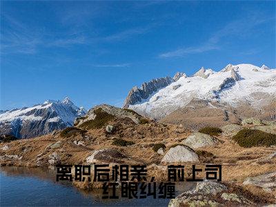 离职后相亲,前上司红眼纠缠(沈知梨傅锦墨)全文小说-离职后相亲,前上司红眼纠缠小说最新章节免费阅读(免费)+(全文)