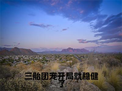 萧妄初顾曼小说完整版阅读-(三胎团宠开局就稳健了)小说全文免费阅读