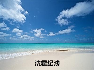 纪浅沈霆最新完结免费阅读-沈霆纪浅悬疑小说在线阅读