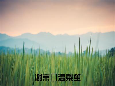 谢京栒温梨笙(温梨笙谢京栒)全文免费阅读无弹窗大结局_(温梨笙谢京栒)温梨笙谢京栒最新章节列表