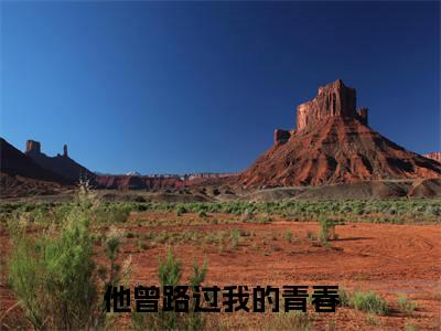 （结局）+（免费）孟知冬易凌琛是哪部小说的主角，他曾路过我的青春全文在线赏析
