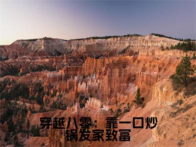 穿越八零:靠一口炒锅发家致富热门小说谢锦唐言卿最新章节免费阅读-完结版全文谢锦唐言卿小说在线阅读