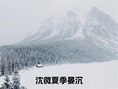 沈微夏季晏沉沈微夏季晏沉无广告阅读新上热文沈微夏季晏沉在线免费读