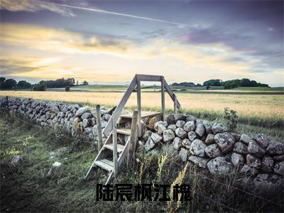 陆宸枫江槐(江槐陆宸枫全文阅读)江槐陆宸枫新书热荐免费小说