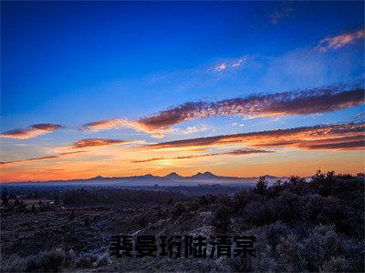 裴晏珩陆清棠(陆清棠裴晏珩)精彩小说-小说陆清棠裴晏珩全文无删减版免费阅读