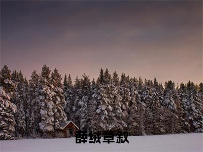 薛绒章叙(薛绒章叙)免费小说-薛绒章叙(薛绒章叙)全文精彩章节阅读-笔趣阁