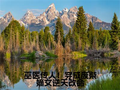 江婉小说免费阅读-巫医传人!穿成废柴嫡女逆天改命完整版全文大结局