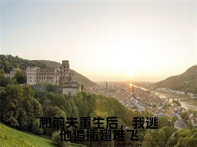 和前夫重生后,我逃他追插翅难飞全文免费阅读无弹窗大结局_(和前夫重生后,我逃他追插翅难飞小说)夏南清在线免费阅读