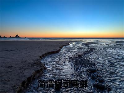 简清婉司寒御全文免费在线阅读_(简清婉司寒御全文免费阅读无弹窗大结局)