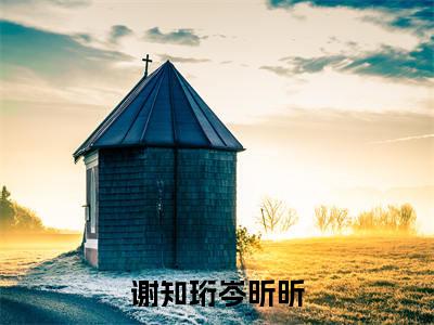 谢知珩岑昕昕岑昕昕谢知珩小说全文免费阅读无弹窗大结局_谢知珩岑昕昕（岑昕昕谢知珩）最新章节列表笔趣阁